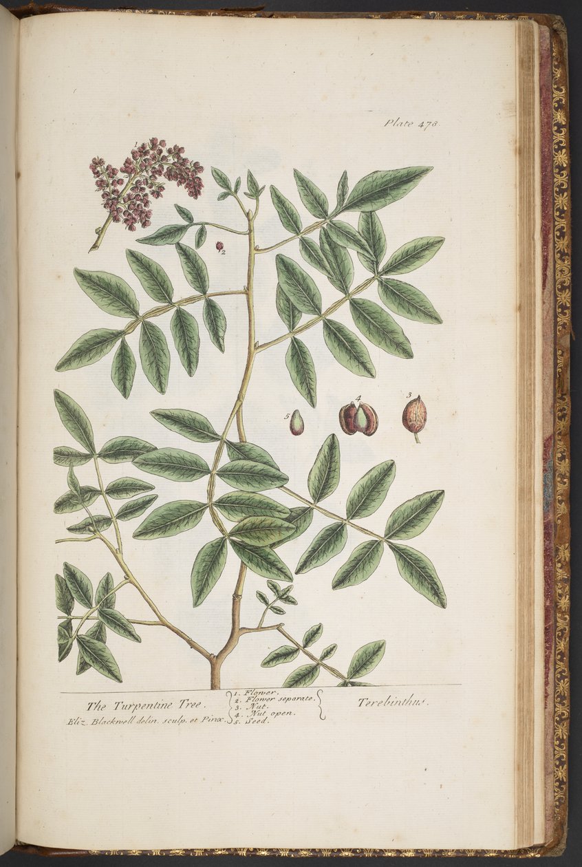 Plade 478, fra 