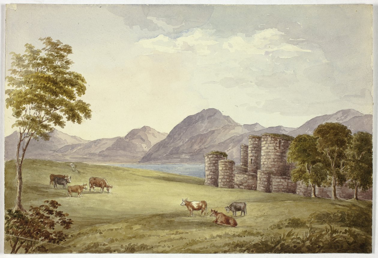 Beaumans slot af Elizabeth Murray