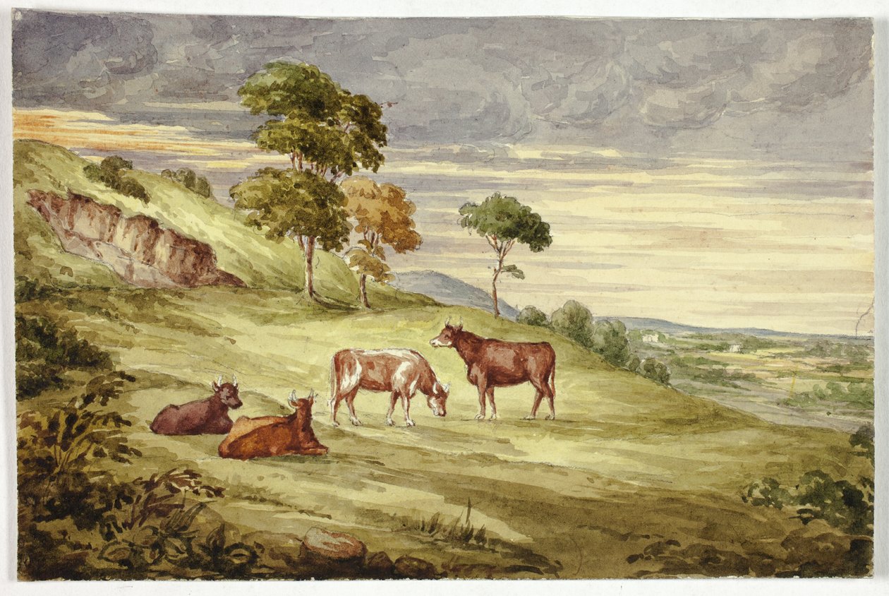 Deer Park, muligvis Kilkenny af Elizabeth Murray