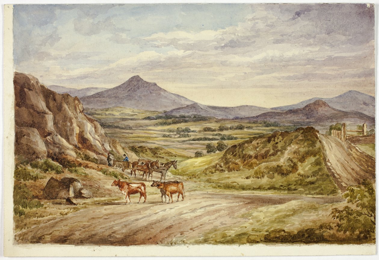 Wicklow Hills af Elizabeth Murray