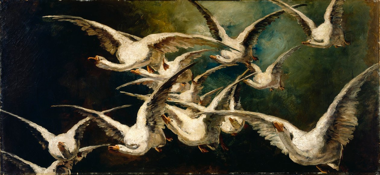Flok af gæs af Elizabeth Nourse