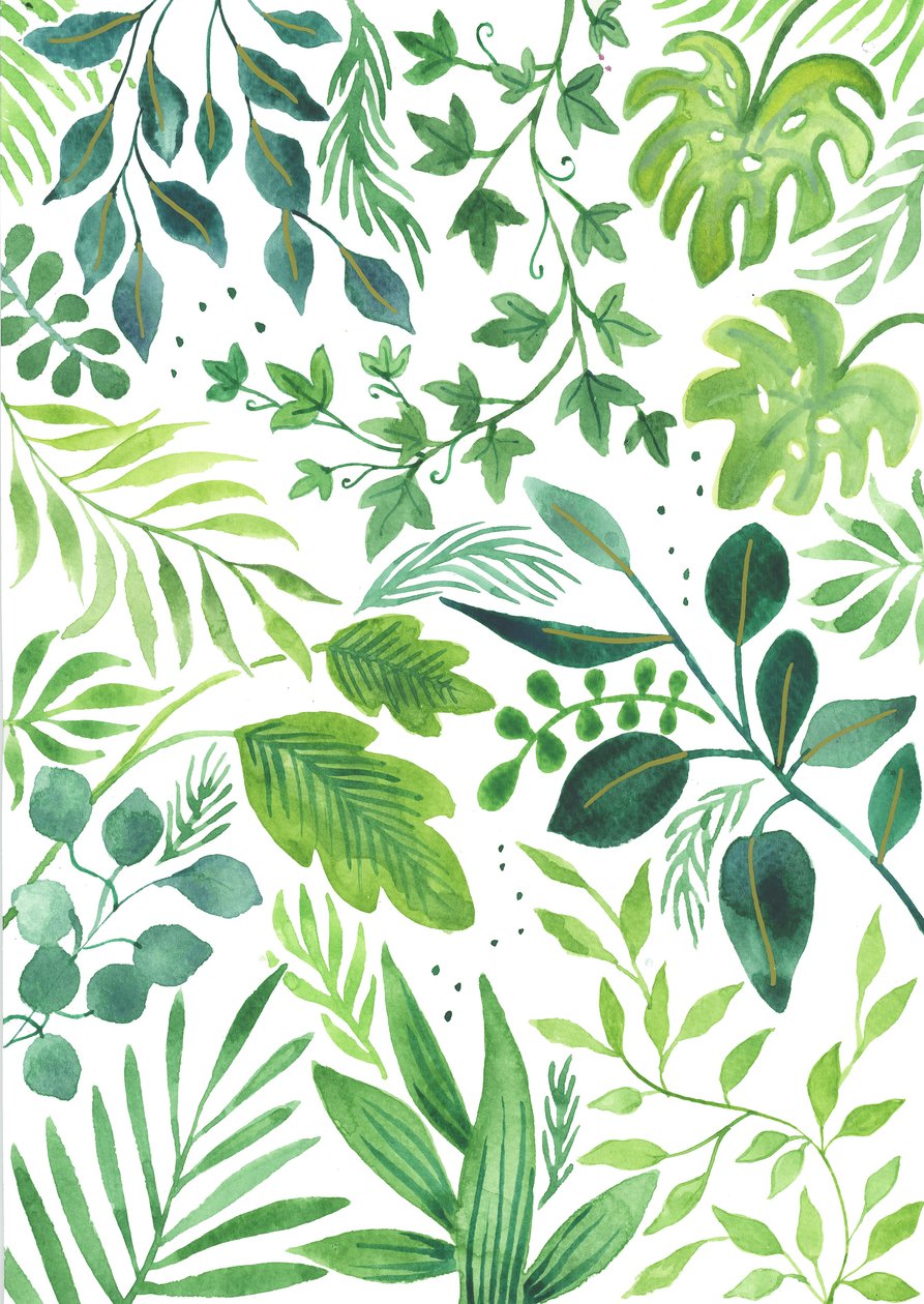 Leafy Medley, 2018 (akvarel) af Elizabeth Rider