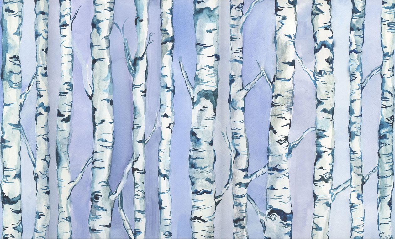 Silverbirch Forest, 2018 (akvarel og akryl) af Elizabeth Rider