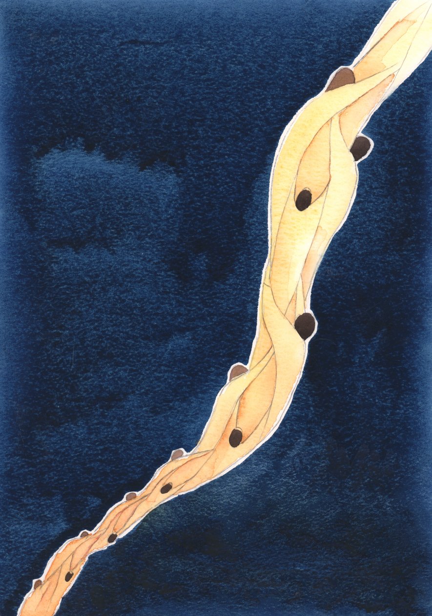 Vores forbøn for de hellige sjæle i skærsilden, i Jesu navn, er som et reb, der trækker dem mod himlen, 2002 (w/c på papir) af Elizabeth Wang