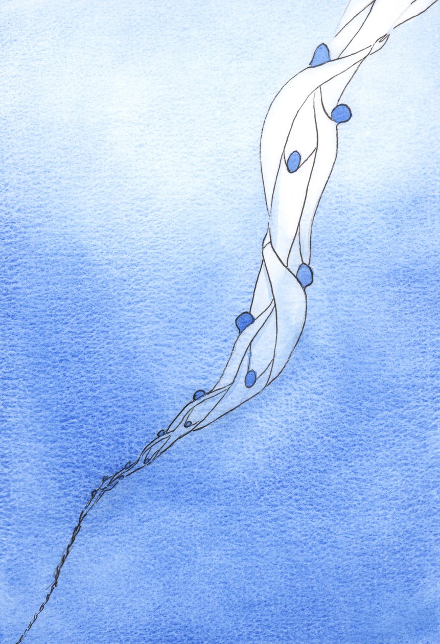 Vores forbøn for de hellige sjæle i skærsilden, i Jesu navn, er som et reb, der trækker dem mod himlen, 2002 (w/c på papir) af Elizabeth Wang