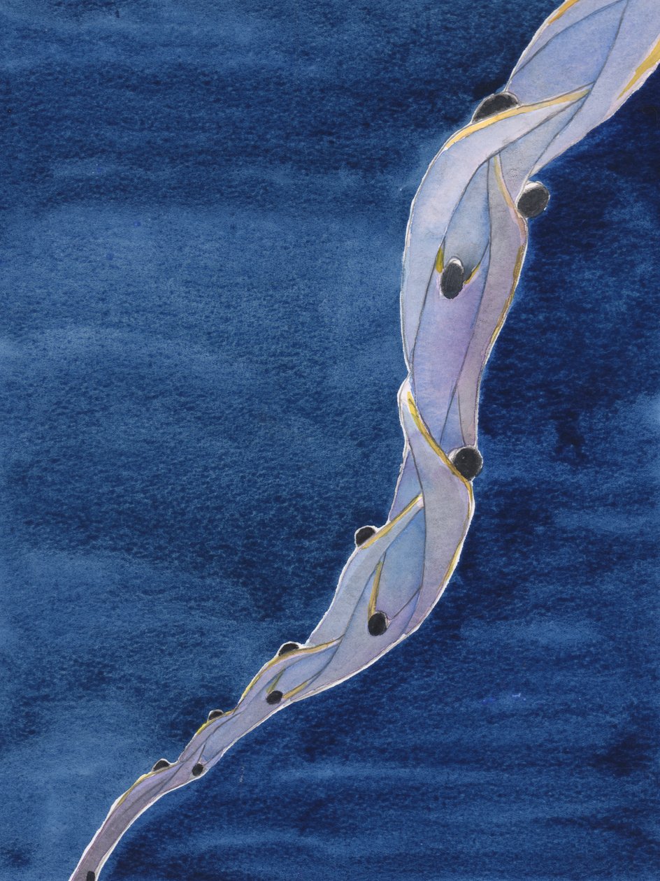 Vores forbøn for de hellige sjæle i skærsilden, i Jesu navn, er som et reb, der trækker dem mod himlen, 2002 (w/c på papir) af Elizabeth Wang