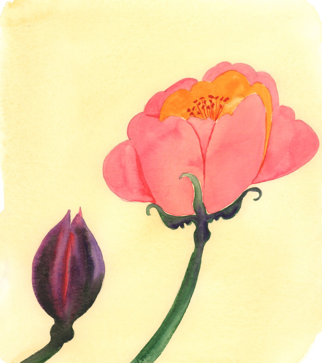  af Elizabeth Wang