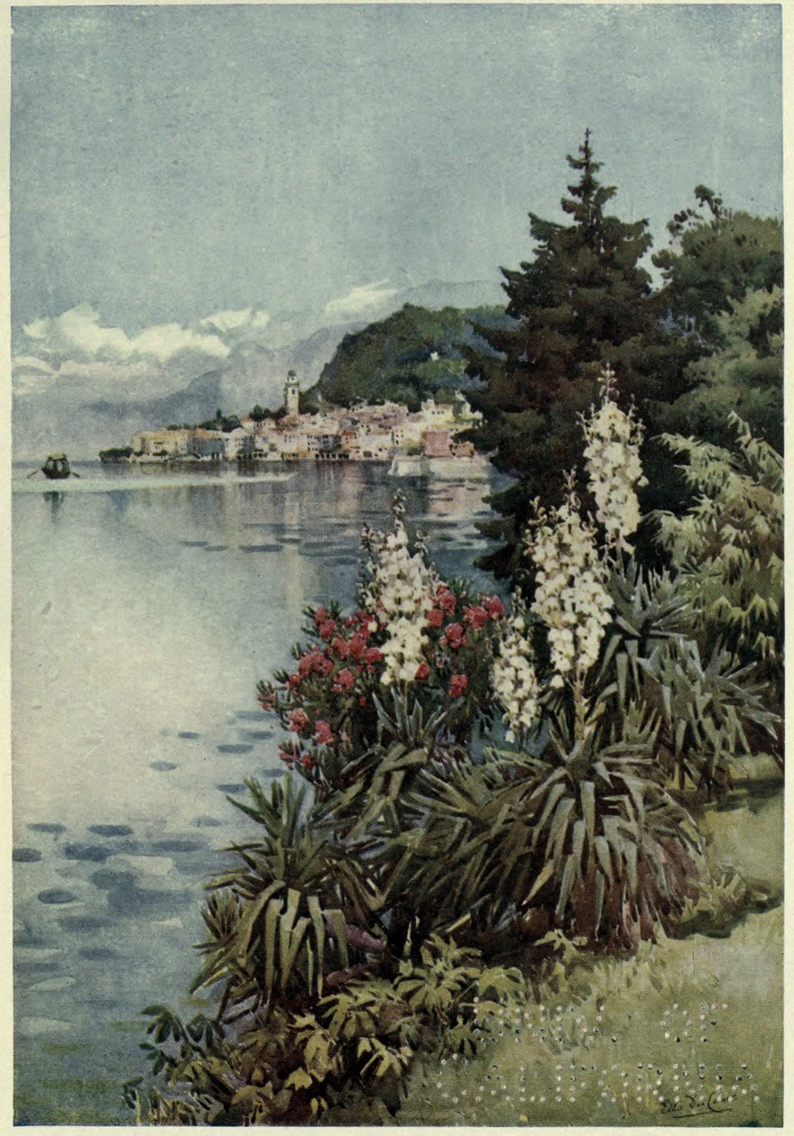 A Group of Yuccas, Villa Melzi, Lago di Como, Illustration fra 