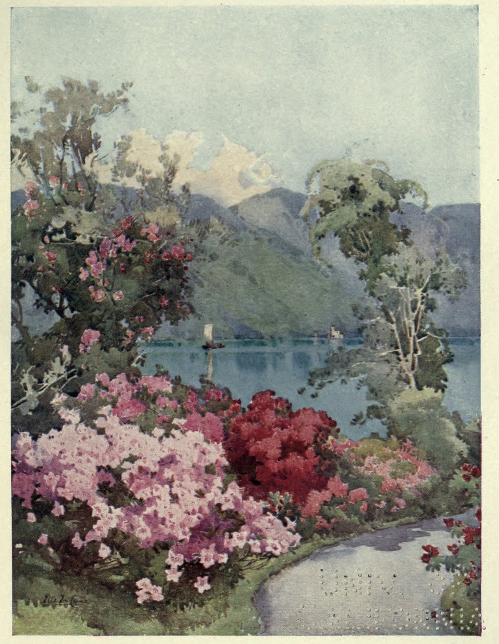 Azaleaer, Lago di Como, Illustration fra 