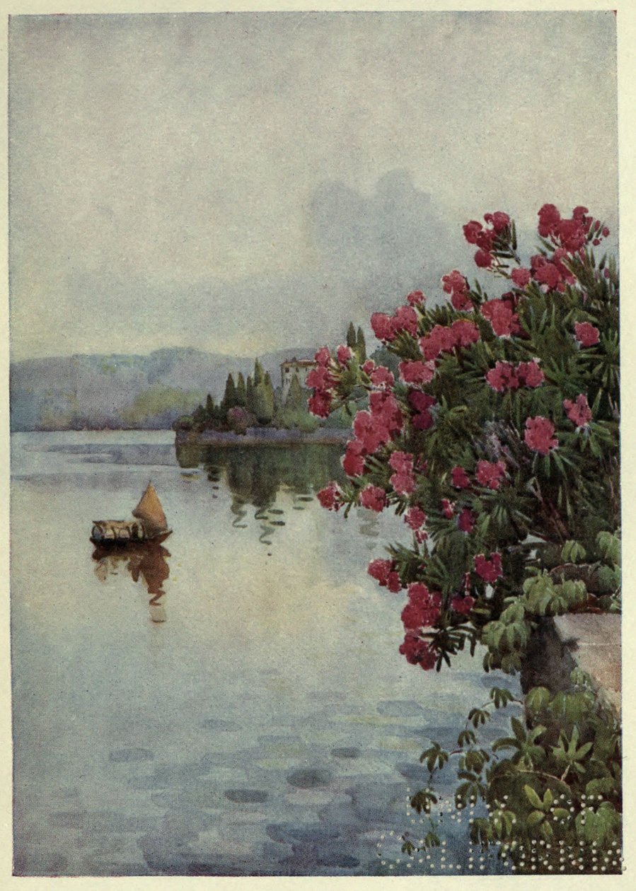 Oleanders, Lago di Como, Illustration fra 