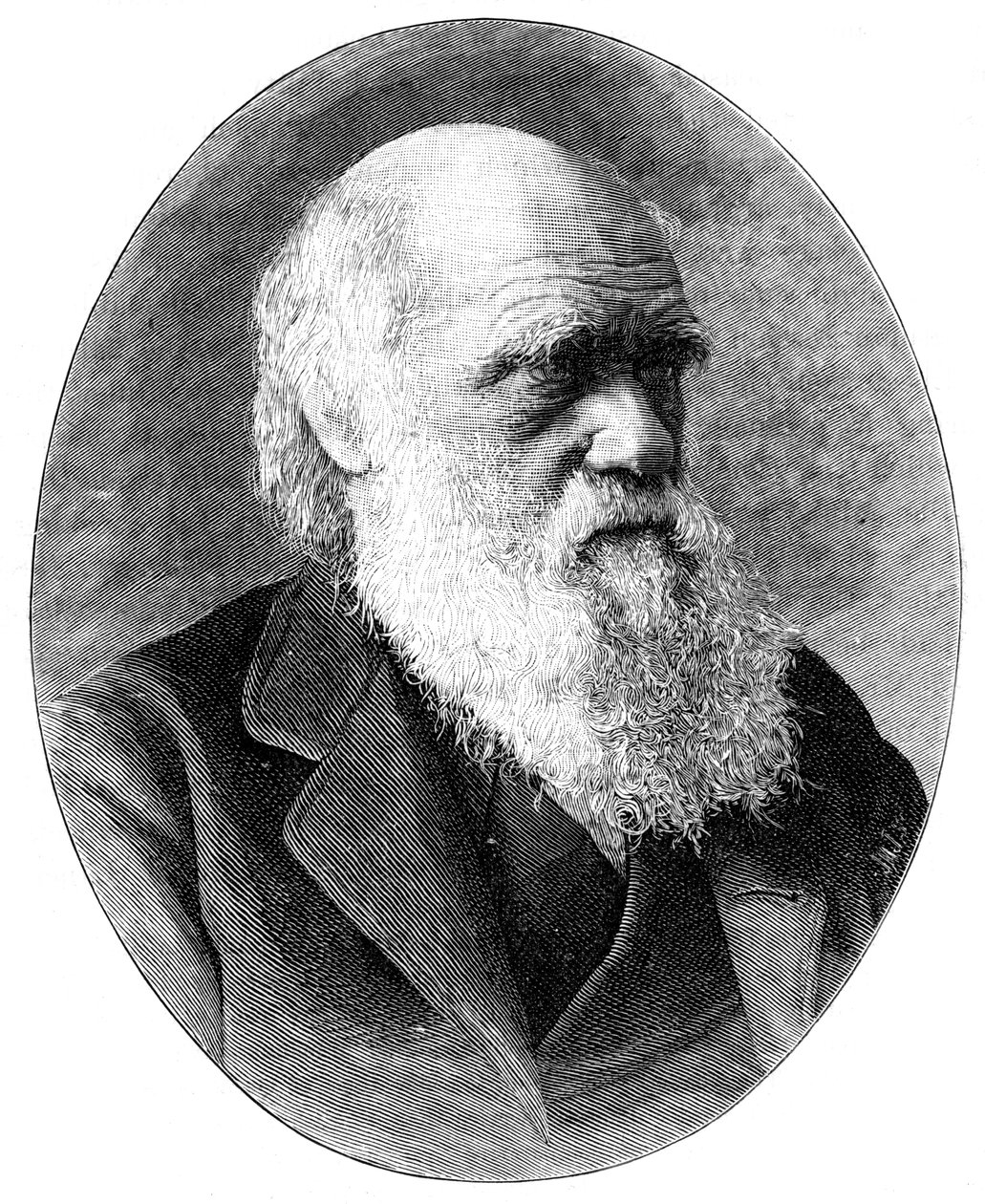 Charles Darwin, engelsk naturforsker fra det 19. århundrede, 1900. af Elliott and Fry