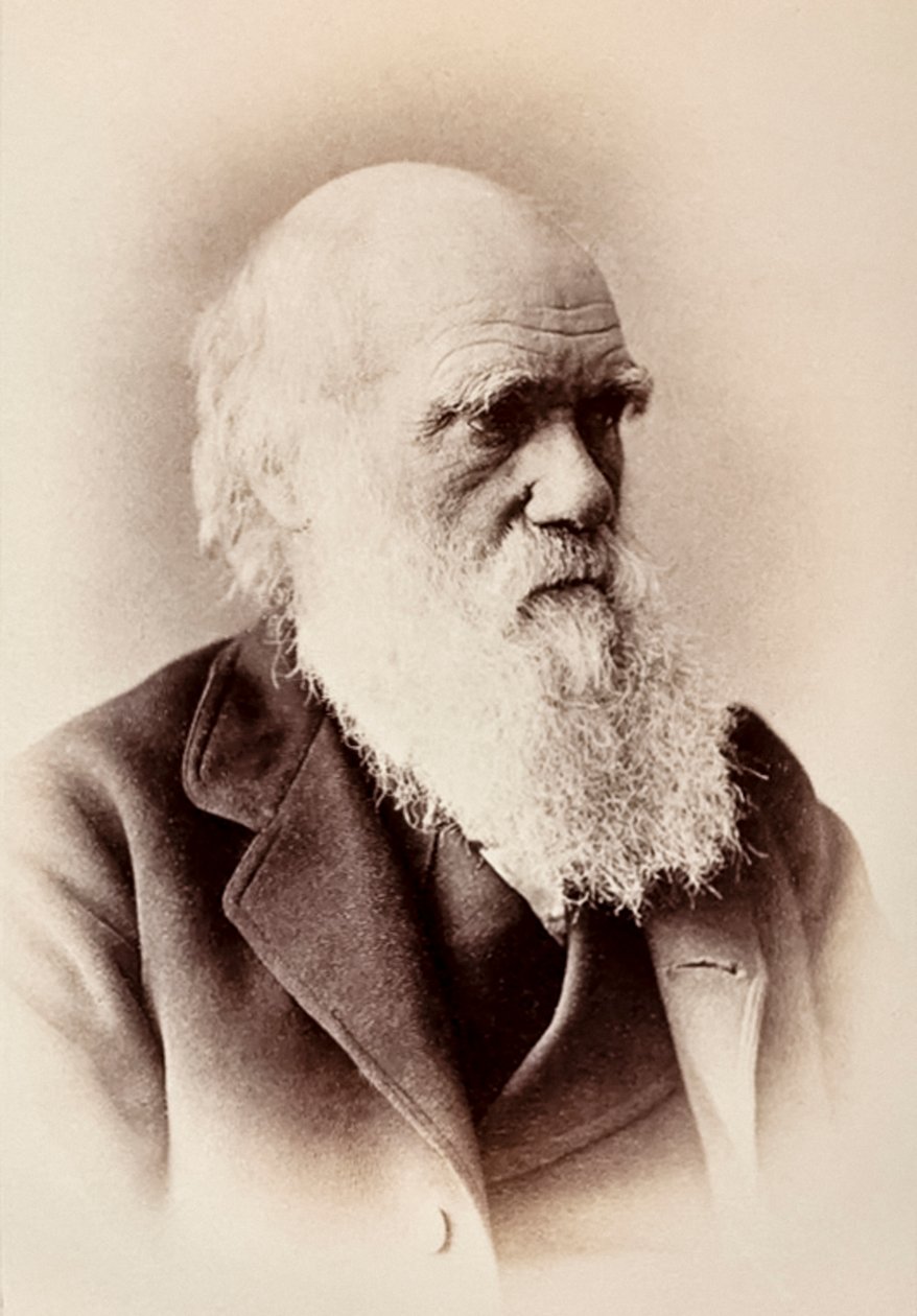 Charles Darwin: Engelsk naturforsker af Elliott und Fry Studio