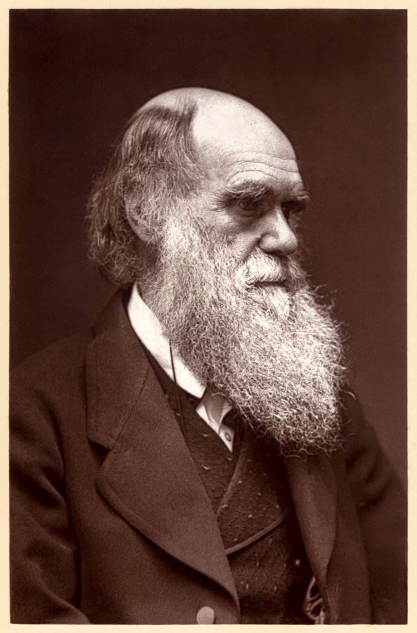 Charles Darwin: Engelsk naturforsker af Elliott und Fry Studio
