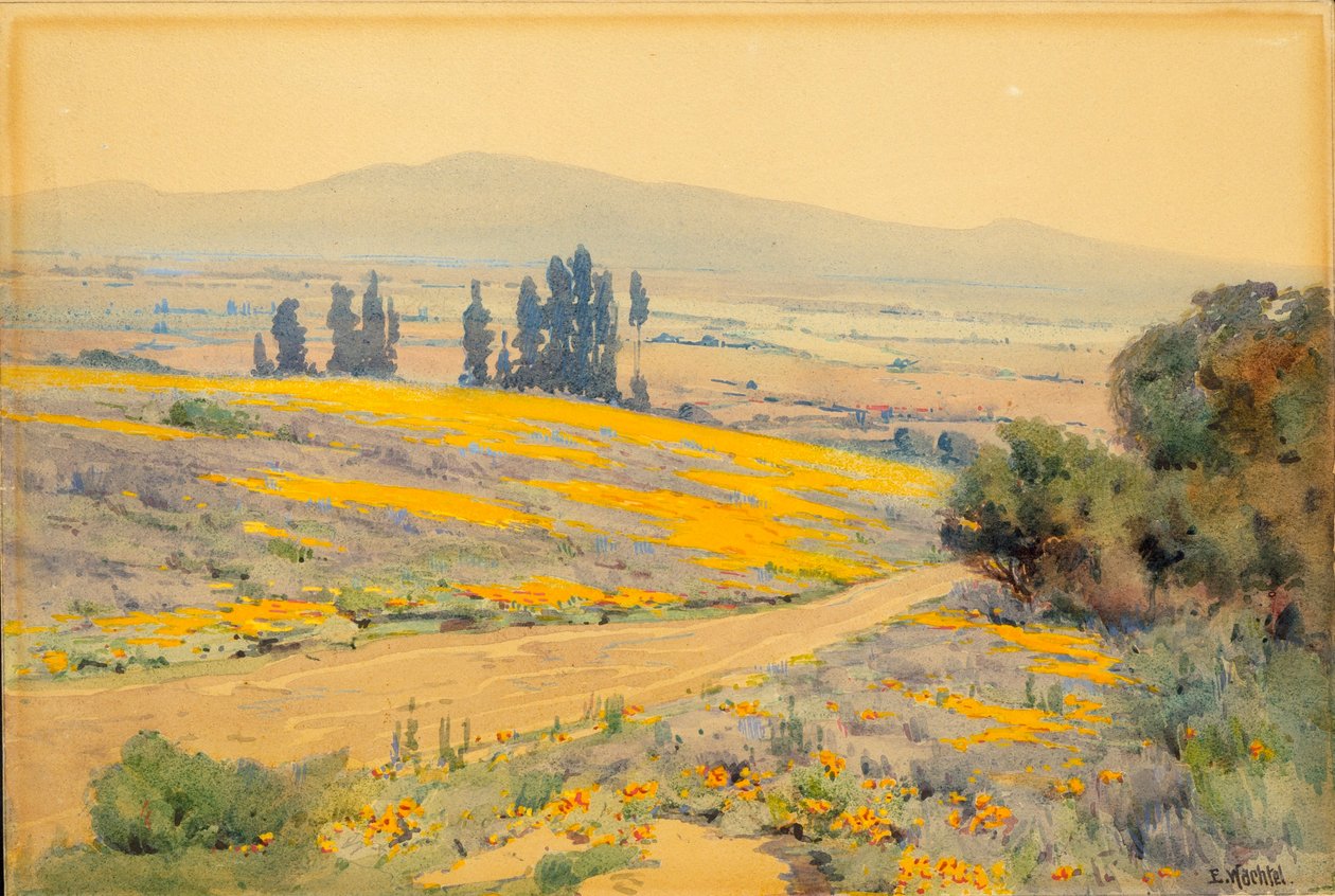 Californiens forårslandskab af Elmer Wachtel