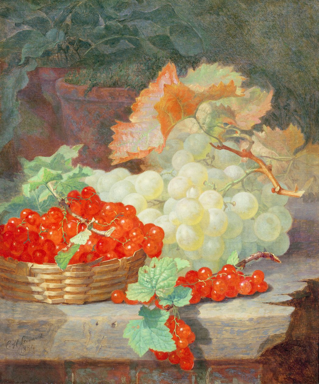 Ribs og Vindruer, 1864 af Eloise Harriet Stannard