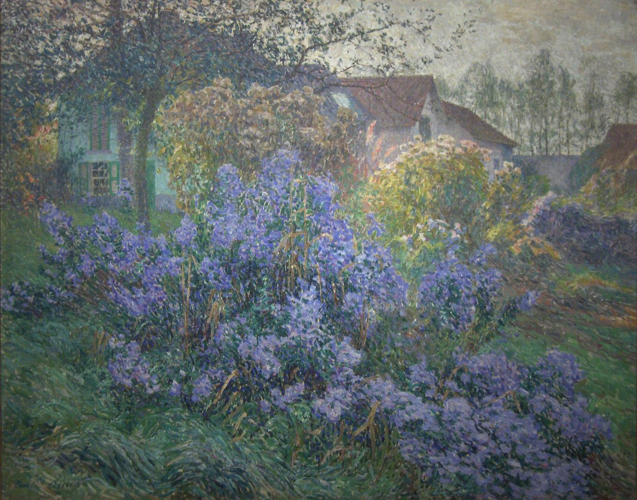 AstersnNederlands: De astersn af Emile Claus