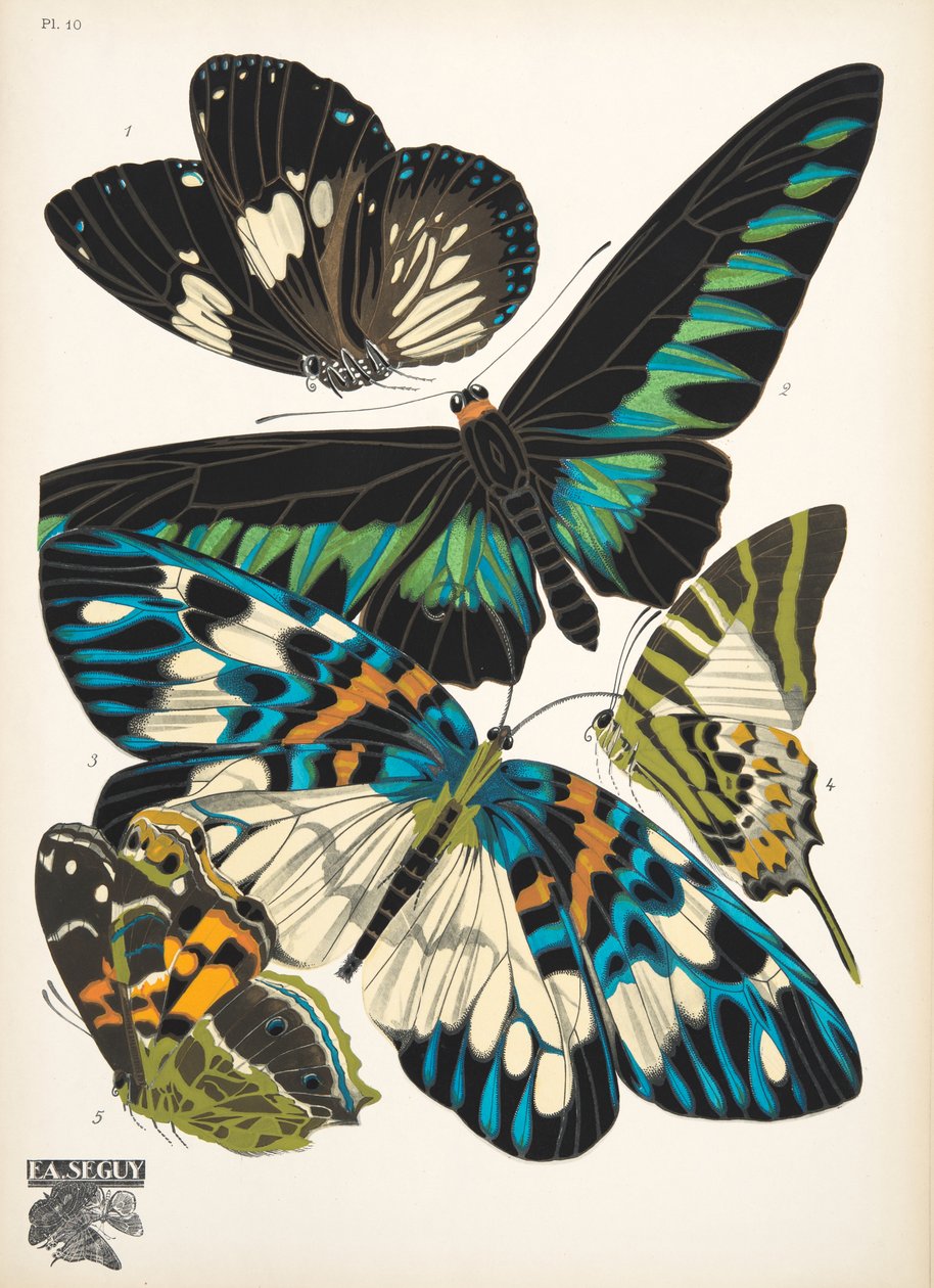 Tallerken 10, fra Butterflies, pub. 1925 (stenciltryk) af Émile Allain Séguy