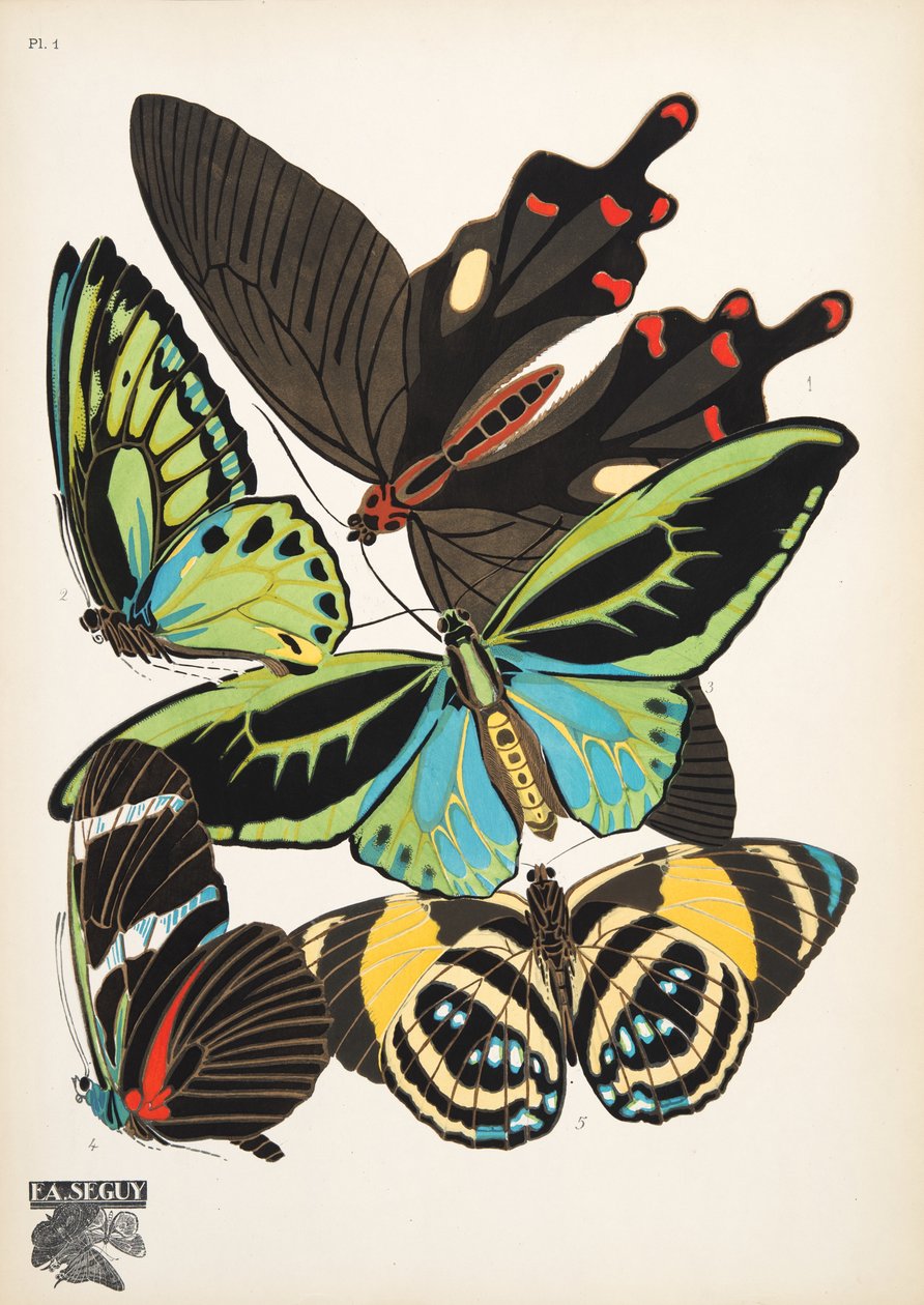 Plade 1, fra sommerfugle, annonce. 1925 (Print Stencil) af Émile Allain Séguy