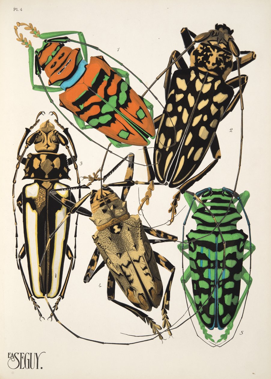 Tallerken 4 fra Insectes, pub. 1930