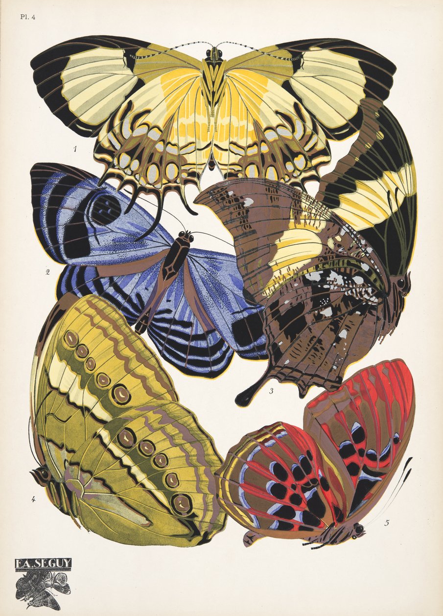 Tallerken 4, fra Butterflies, pub. 1925 (stenciltryk) af Émile Allain Séguy