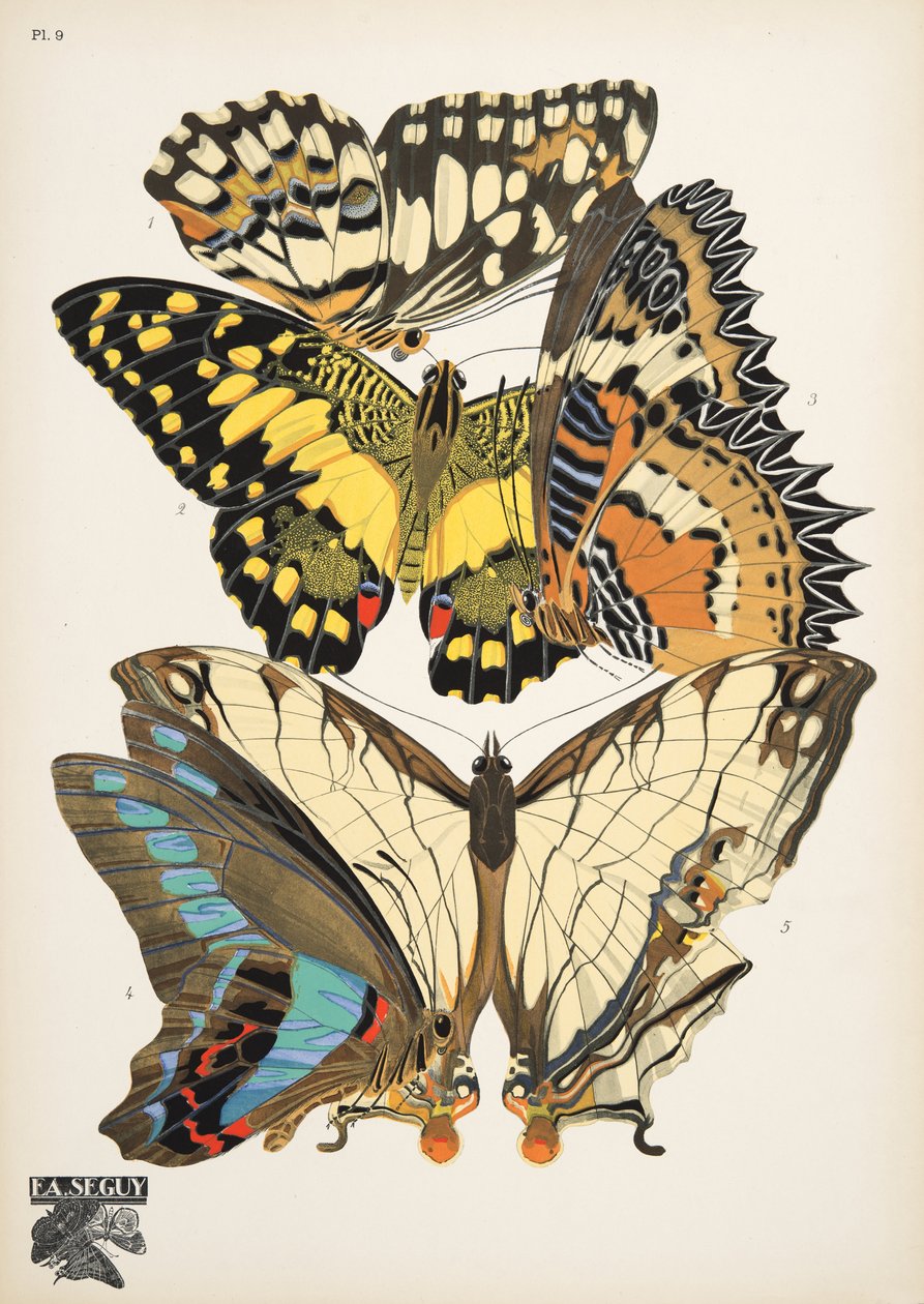 Tallerken 9, fra Butterflies, pub. 1925 (stenciltryk) af Émile Allain Séguy