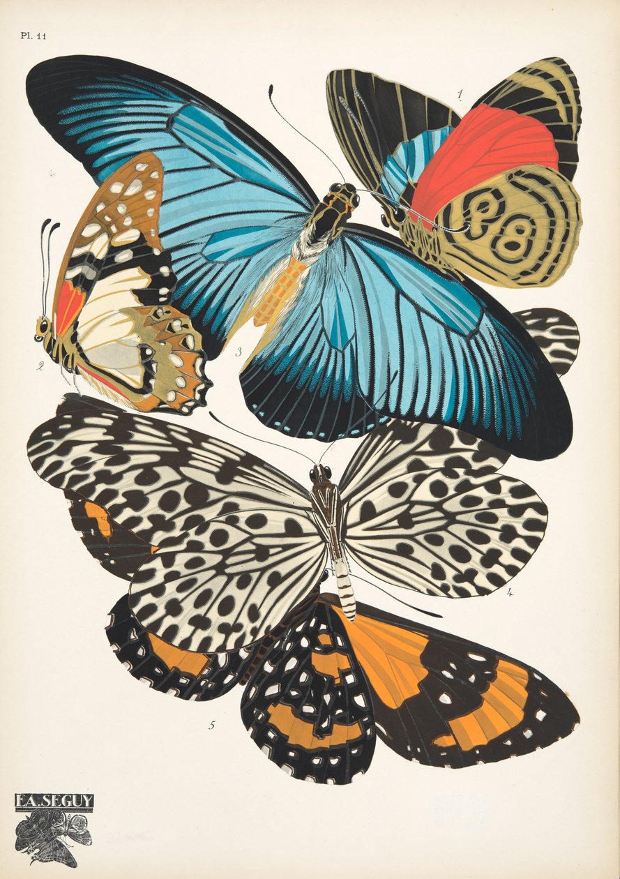 Tallerken 11, fra Butterflies, pub. 1925 (stenciltryk) af Émile Allain Séguy