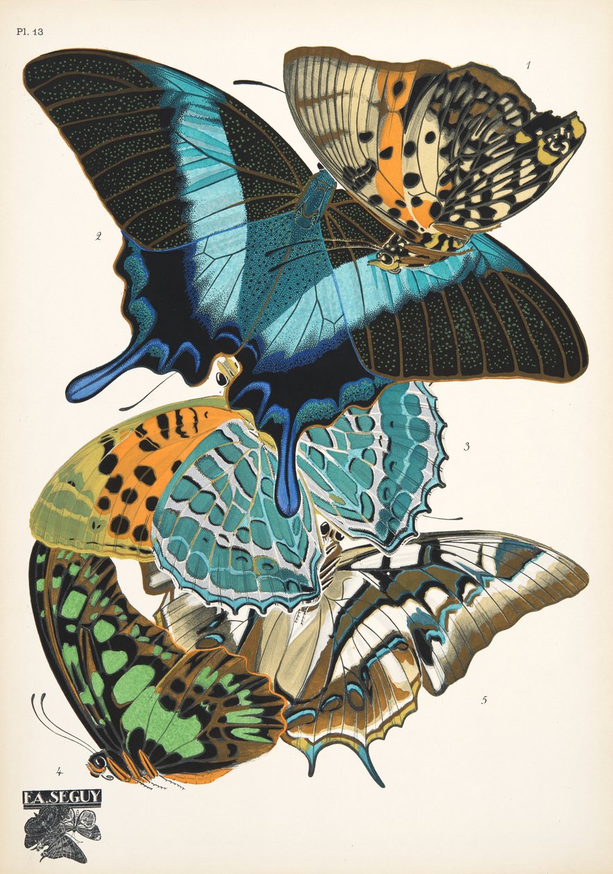 Tallerken 13, fra Butterflies, pub. 1925 (stenciltryk) af Émile Allain Séguy