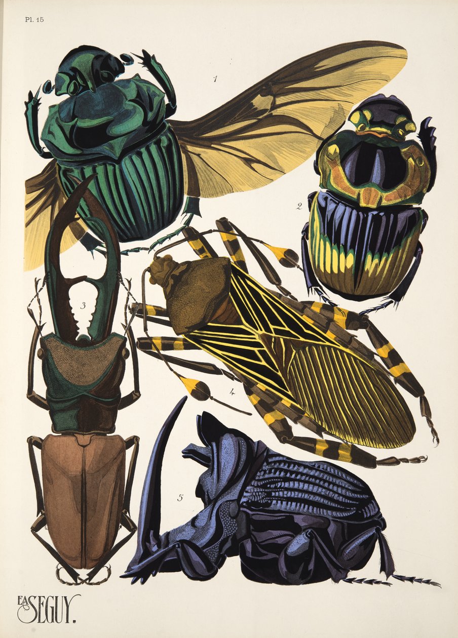 Tallerken 15 fra Insectes, pub. 1930