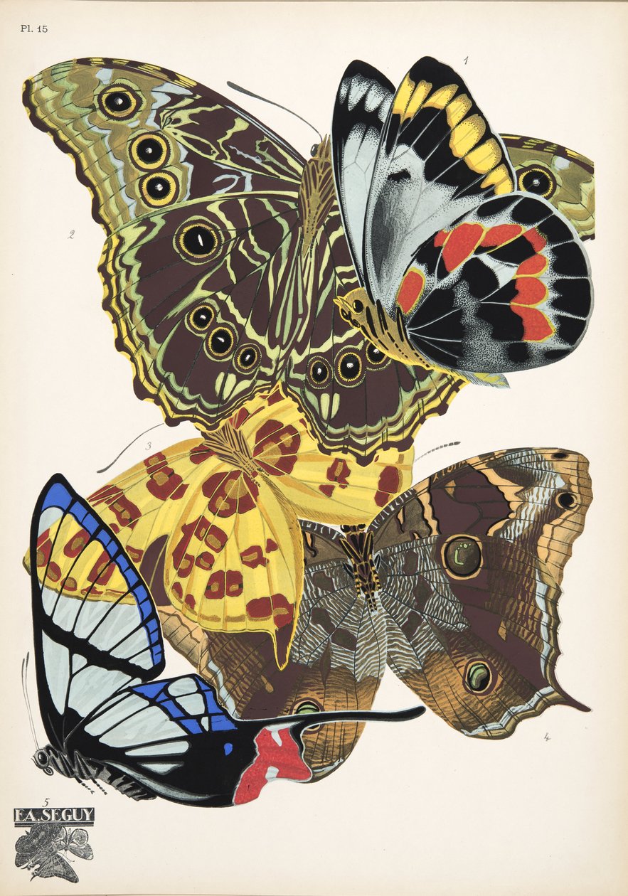Tallerken 15, fra Butterflies, pub. 1925 (stenciltryk) af Émile Allain Séguy