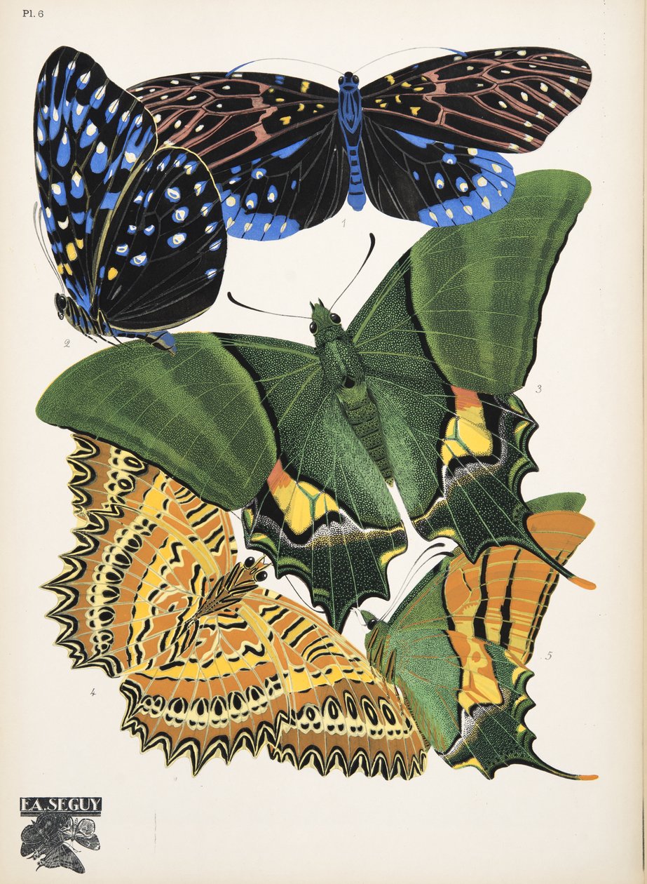 Tallerken 6, fra Butterflies, pub. 1925 (stenciltryk) af Émile Allain Séguy