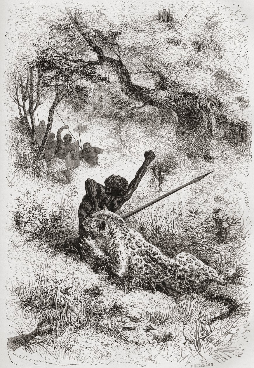 En leopard angriber en afrikaner, illustration fra 