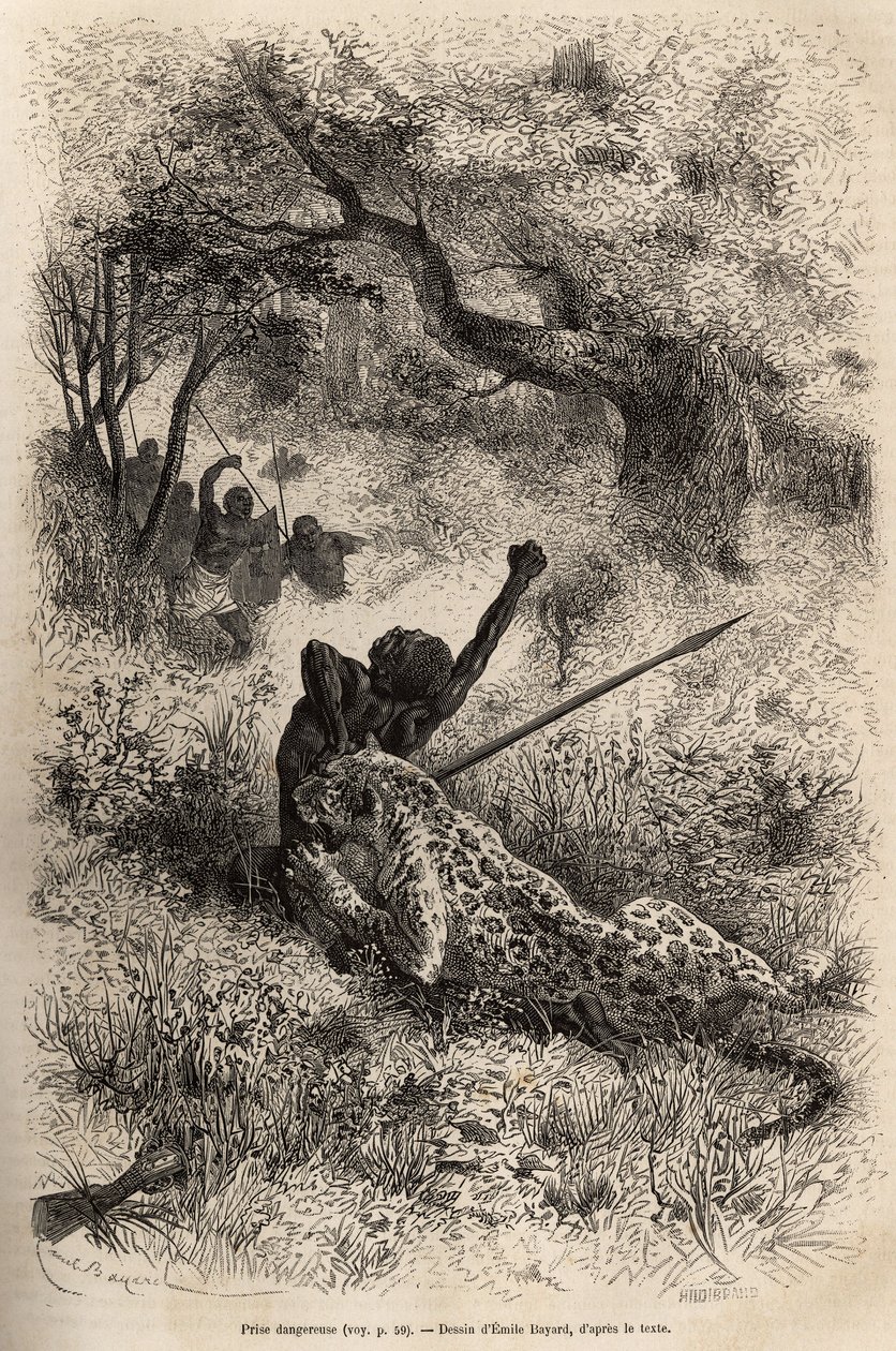 En leopard springer på en mand og bider ham grusomt i ryggen, i nærheden af Bambare (Congo), graverer efter en tegning af Emile Bayard, der illustrerer David Livingstones sidste dagbog (1813-1873), i 1866-1873, udgivet i " ”Le tour du monde”” 1875, red af Emile Antoine Bayard