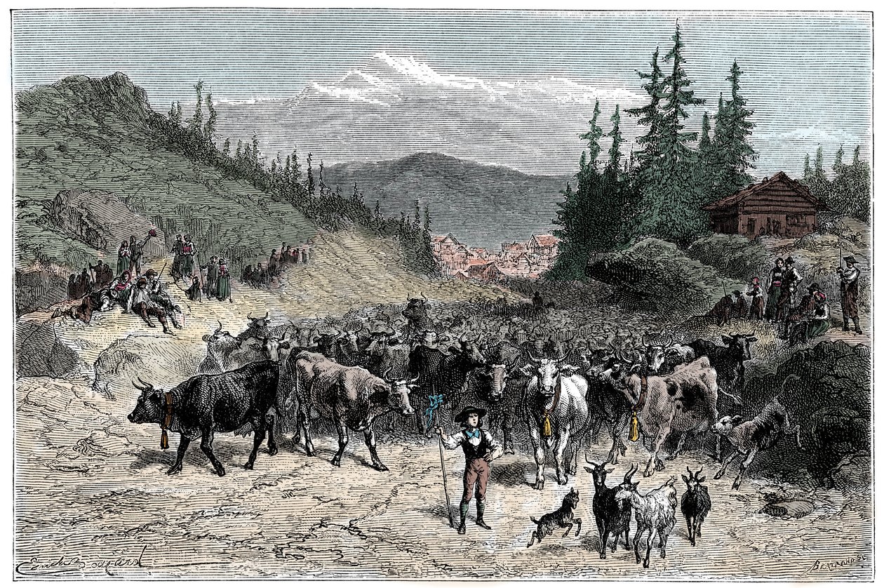 Alperne: jodel eller afgang besætninger (køer, geder) mod græsgange. Illustration af Emile Bayard til bogen Les Montagnes d