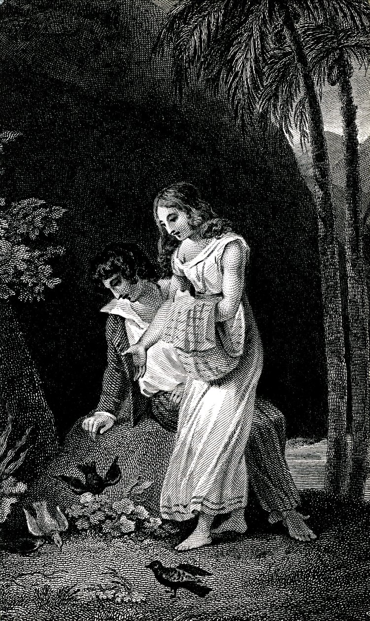 Gravering, der illustrerer en udgave fra det sene 19. århundrede af romanen af Jacques-Henri Bernardin de Saint Pierre (Jacques Henri Bernardin de Saint-Pierre): Paul et Virginie. Fugle kommer til land uden frygt nær det unge kærestepar i skoven. Tegning b af Emile Antoine Bayard