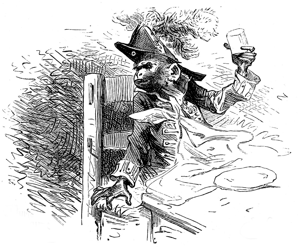 Illustration af Emile Bayard til Hector Malots roman "Sans Famille ": Joli-Coeur (det smukke hjerte), den lærde abe fra Monsieur Vitalis
