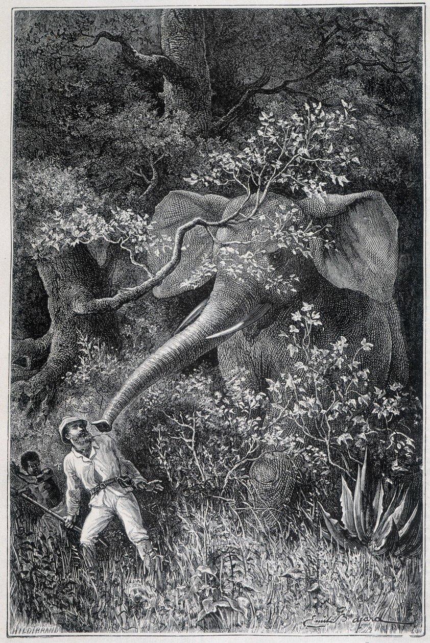 Livingstone overrasket af en elefant i "Le Tour du Monde" af Emile Antoine Bayard