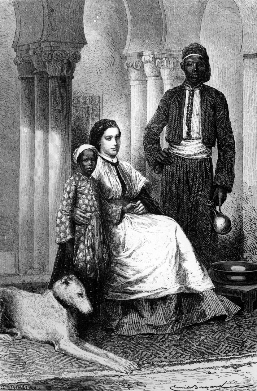 Frøken Tinne i hendes hjem i Cairo, illustration fra 