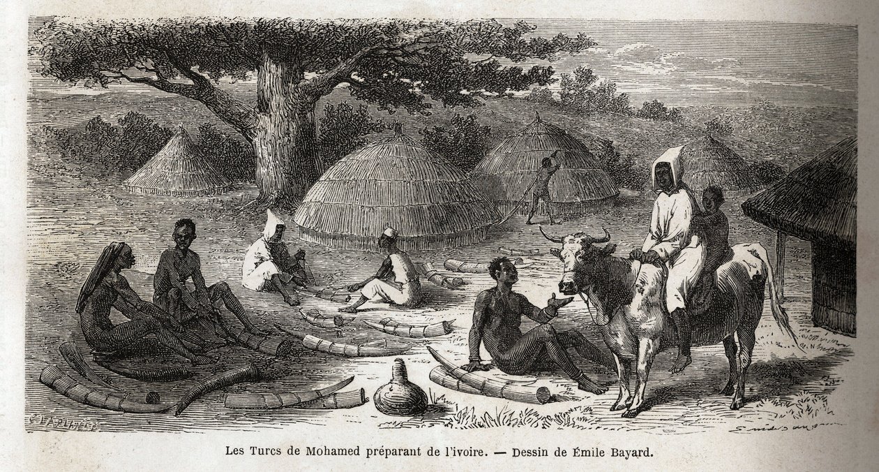 Forberedelse af elfenben til en tyrkisk handelsmand, Uganda, tegning af Emile Bayard (1837-1891), der illustrerer kaptajn Spekes opdagelsesrejse i Afrika fra 1860 til 1863. Indgravering i "" Le tour du monde"", redigeret af Edouard Charton af Emile Antoine Bayard