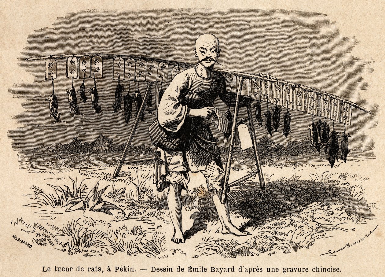 Rottemorderen i Pekin. Tegning af Emile Bayard (1837-1891), til illustration af Shanghais rejse til Moskva, fra 1859 til 1862, af M. de Bourboulon, Frankrigs minister til Kina. Indgravering i "" Le tour du monde"", redigeret af Edouard Charton af Emile Antoine Bayard