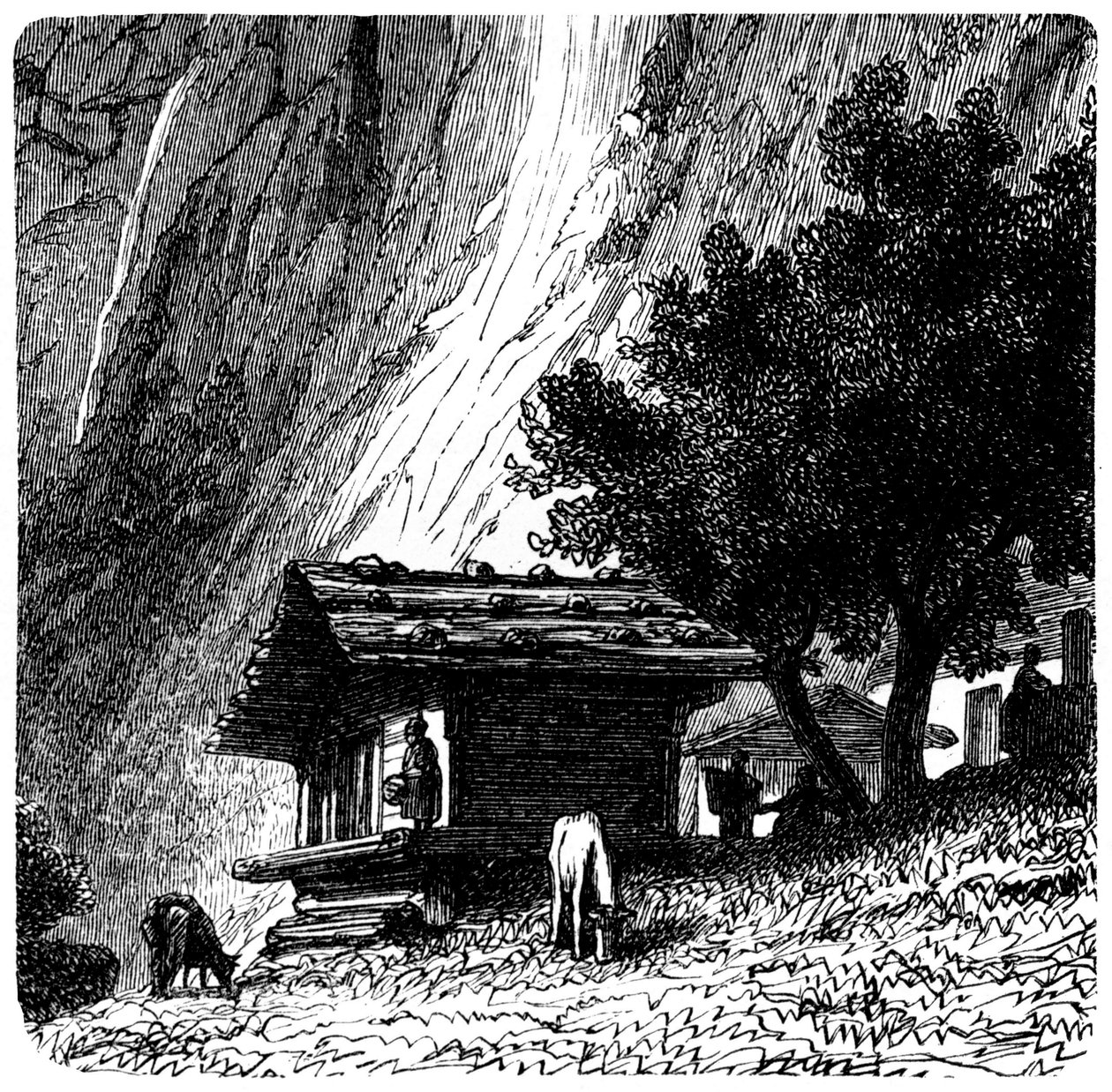 Udsigt over Alperne: gammel hytte ved foden af en klippe med køer, der græsser (græs). Illustration af Emile Bayard (detalje) til bogen Les Montagnes d