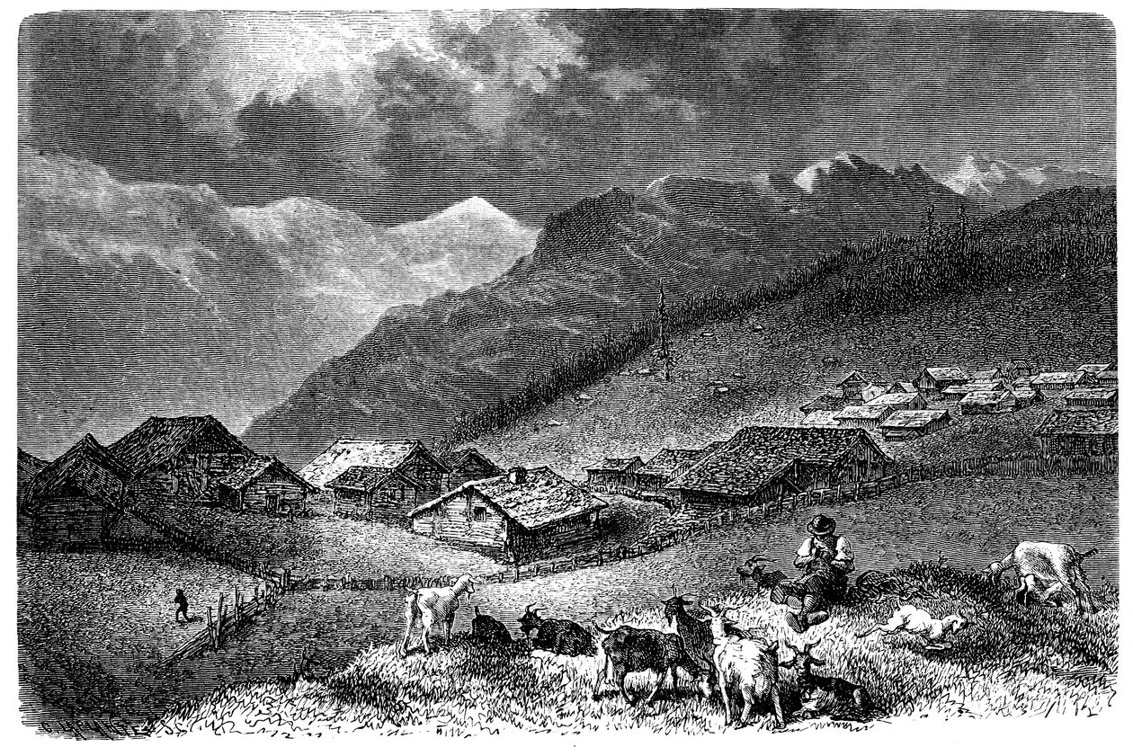 Landsby i Alperne. Murren, i Berner Oberland, højde 1630 meter. Hyrde holder sin flok geder og får (får). Illustration af Emile Bayard til Albert Dupaignes bog "Les Montagnes", udgave Mame 1881. af Emile Antoine Bayard