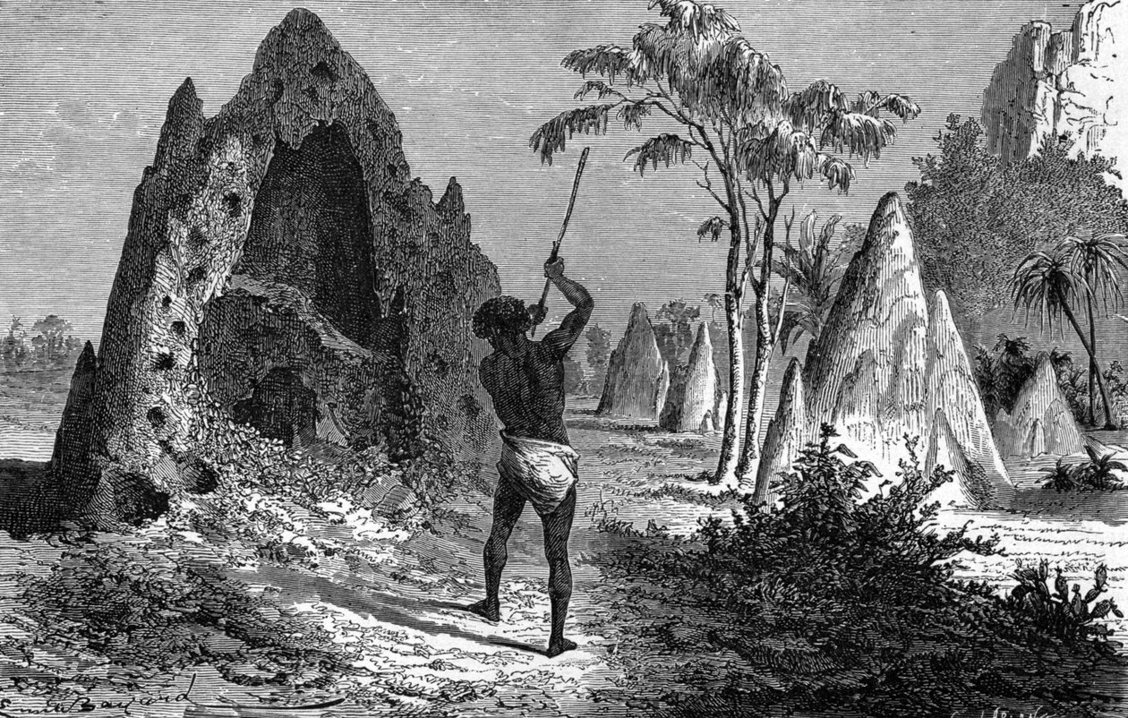 Landsby med krigeriske termitter (termitiere), Afrika. Indgravering 1897 af Emile Antoine Bayard