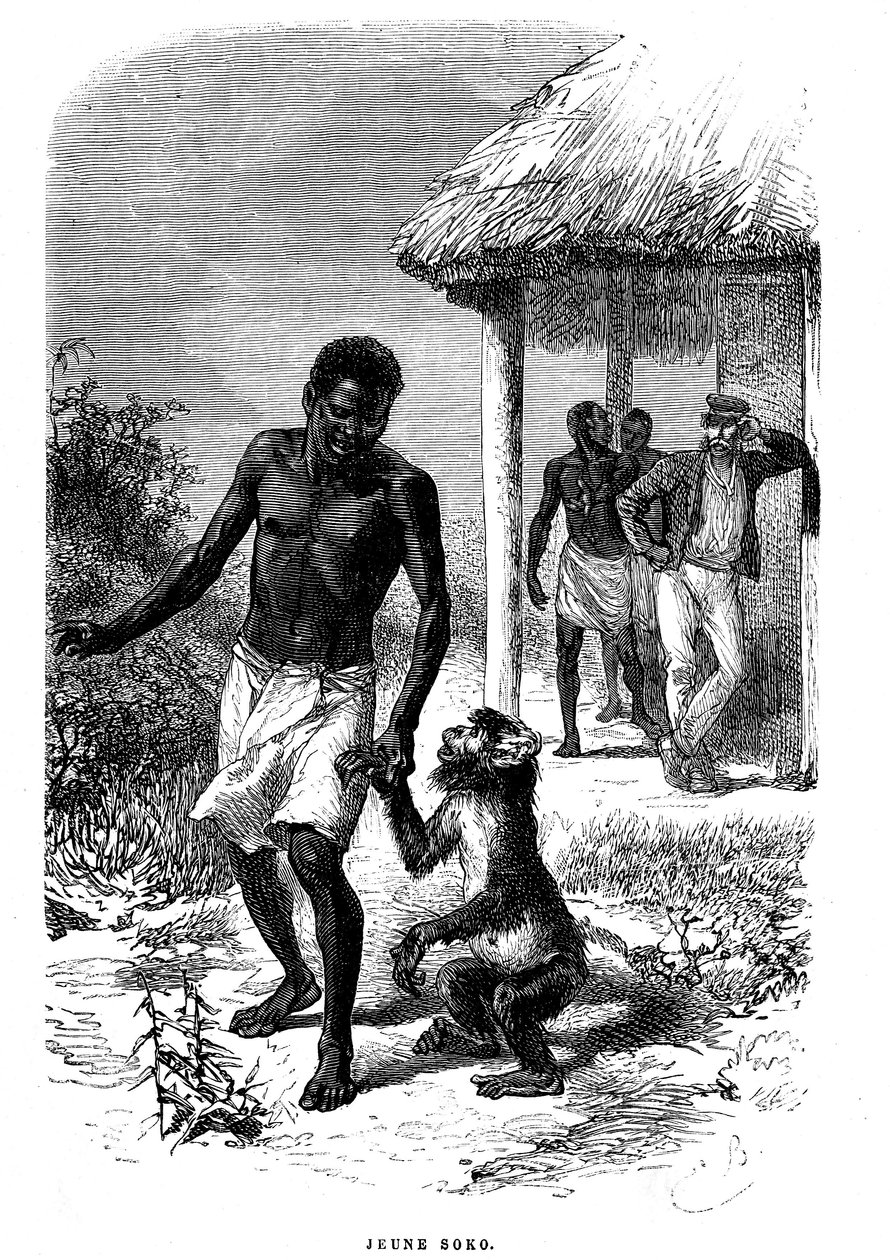 Ung Soko-abe i Afrika. Gravering af Emile Bayard (1837-1891), der illustrerer de sidste historier om opdagelsesrejsende David Livingstone af Emile Antoine Bayard