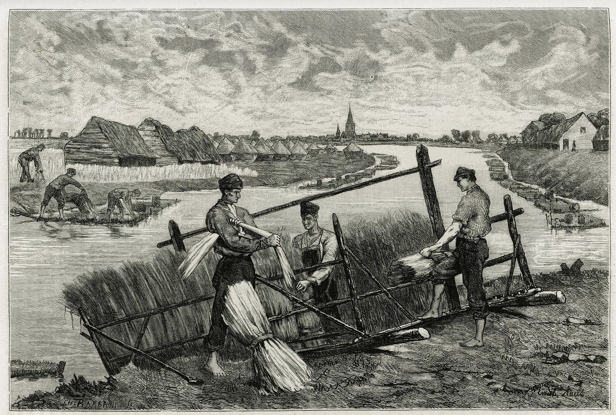 Rusten af hør (maceration for at lette adskillelsen af barken fra stænglen) i Lys (floden nord for Frankrig og Belgien). Gravering af Emile Claus, for at illustrere historien "" La Belgique"", af Camille Lemonnier (1844) -1913), forfatter og kunstkritiker. af Emile Claus