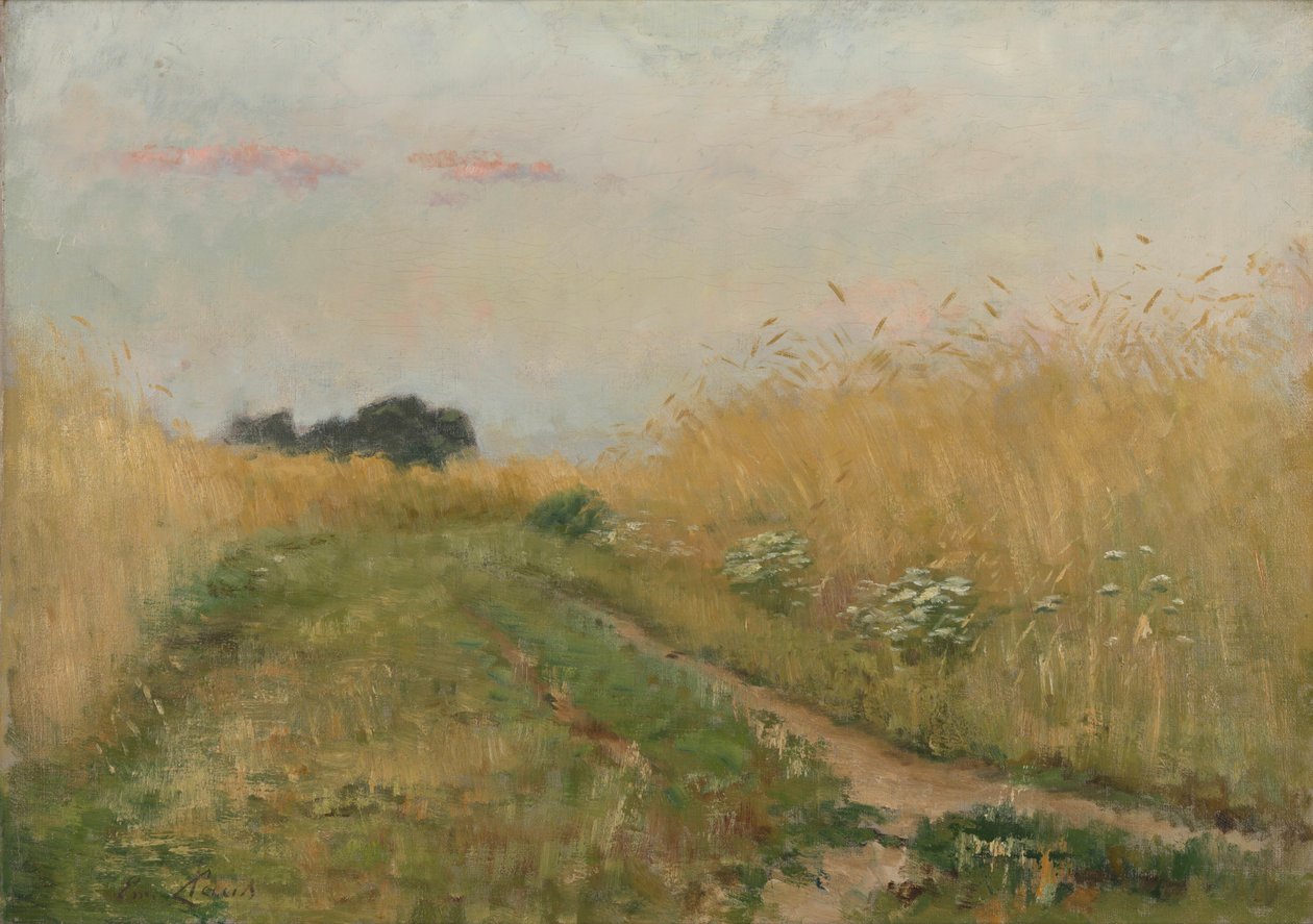 Sommerlandskab - Kornmark af Emile Claus