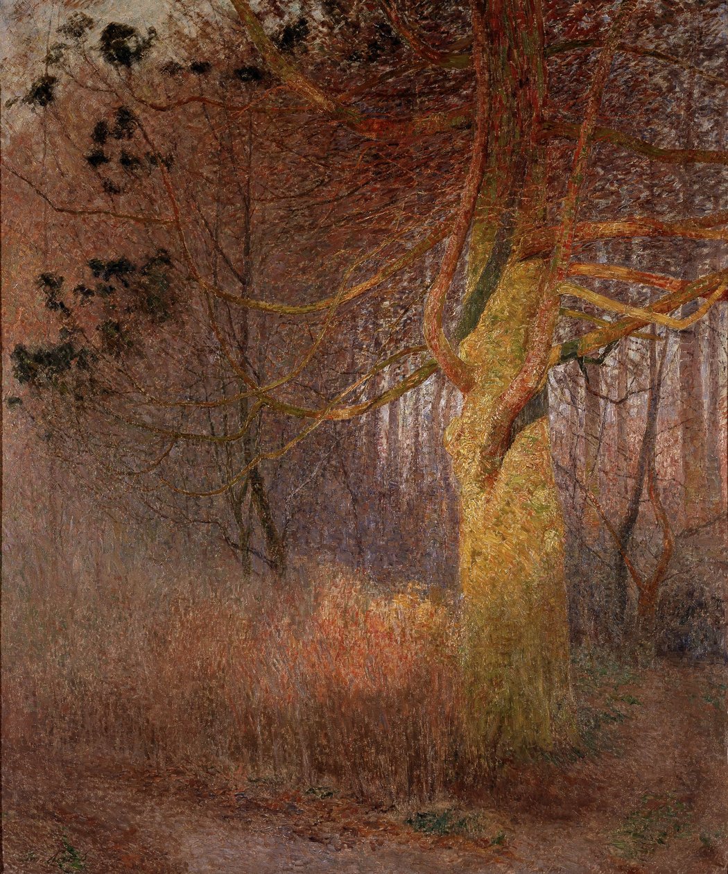 Solrigt træ af Emile Claus