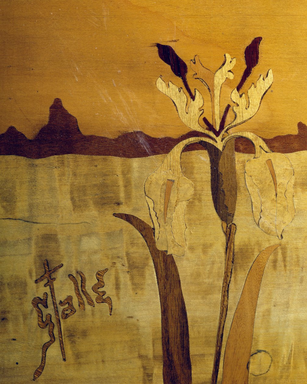 Bord i jugendstil, af Emile Galle (1846-1904), valnød med finerfinish og forskellige træsorter, detaljer, Frankrig, 20. århundrede af Emile Galle