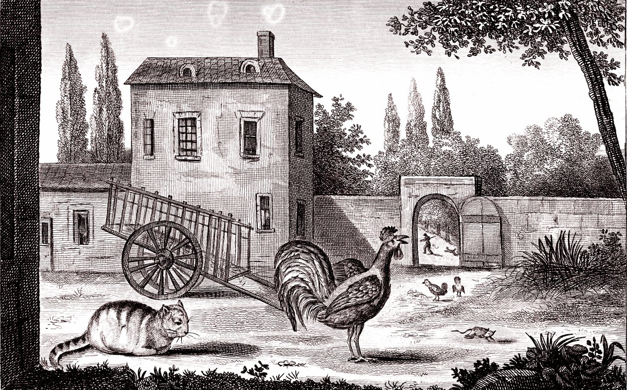 Hanen, katten og musen, Fabel af La Fontaine af Emile Joseph Alexandre Gouget
