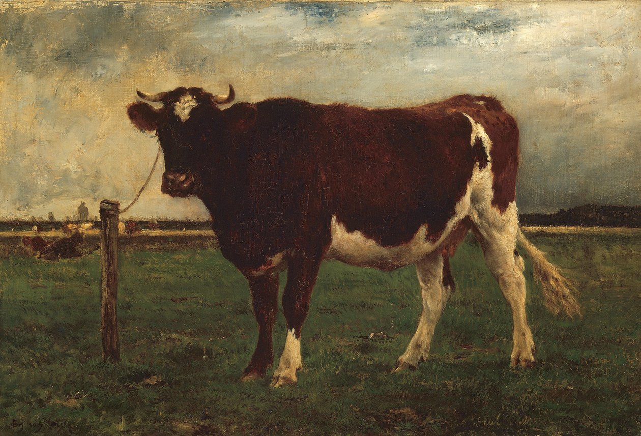 Studie af en ko af Emile van Marcke de Lummen