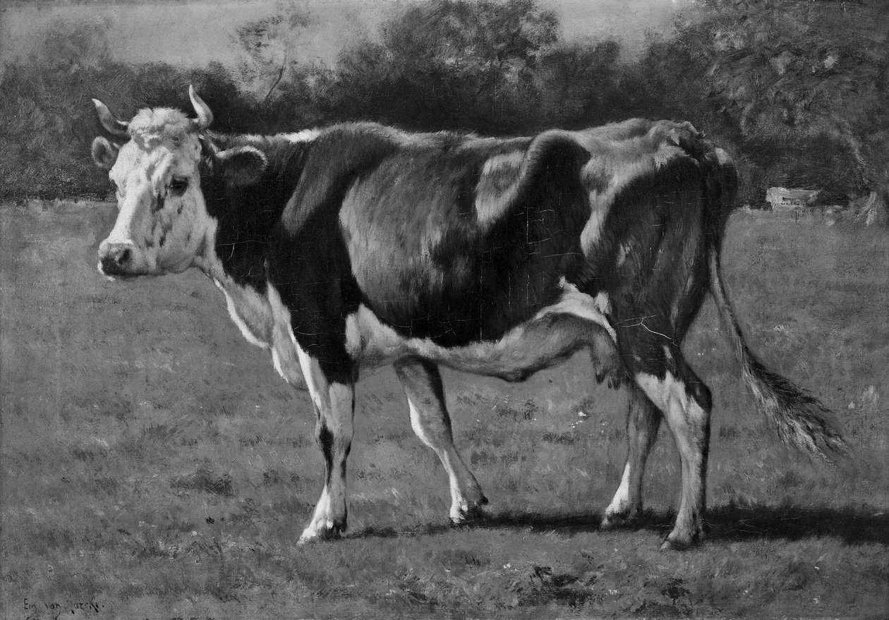 Studie af en ko af Emile van Marcke de Lummen